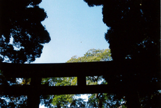 名称未設定 2.jpg