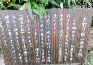 名称未設定 4.jpg