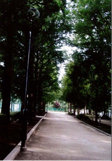 名称未設定 5.jpg