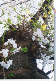 名称未設定 7.jpg