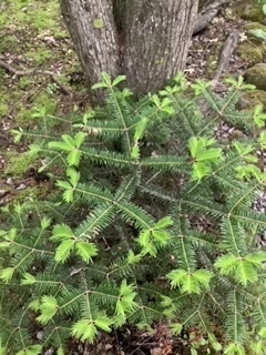 image0.jpeg