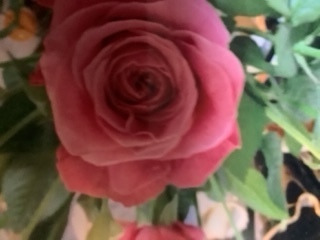 image0.jpeg