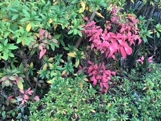 image0.jpeg
