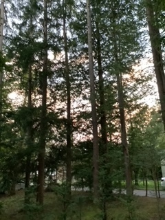 image0.jpeg