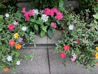 image0.jpeg