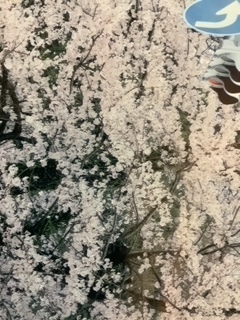 image0 (12).jpeg