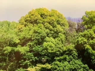 image0 (15).jpeg