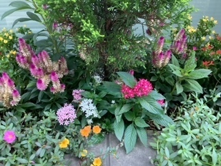 image0 (5).jpeg