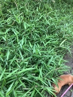 image1.jpeg
