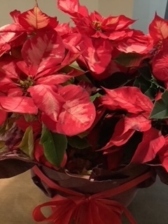 image1.jpeg