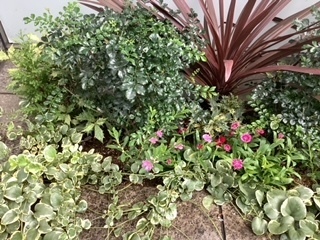 image1.jpeg