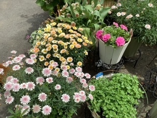 image1 (10).jpeg
