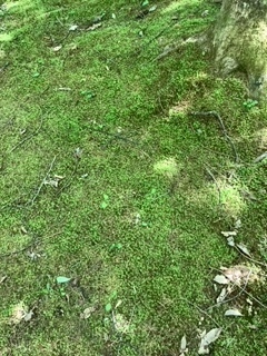 image2.jpeg