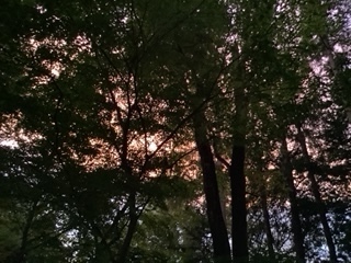image2 (1).jpeg
