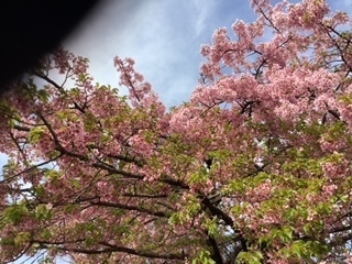 image2 (5).jpeg