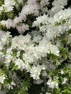 image2 (7).jpeg