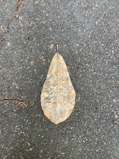 image3.jpeg
