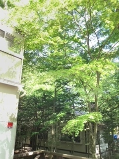 image3.jpeg