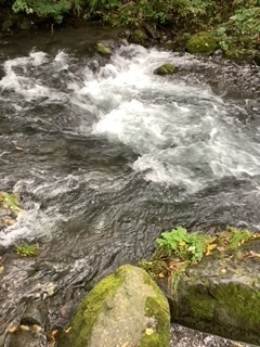 image3 (1).jpeg
