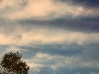 image3 (2).jpeg
