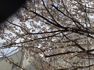 image3 (4).jpeg
