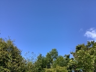image3 (5).jpeg