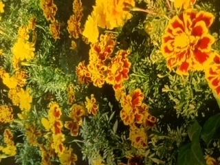 image3 (5).jpeg