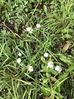 image4.jpeg