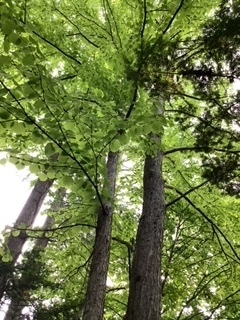 image4.jpeg