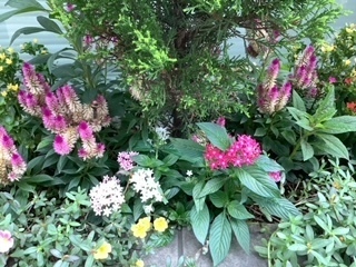 image4.jpeg
