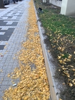 image4.jpeg