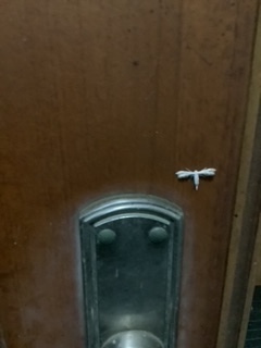 image4.jpeg