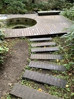image4 (1).jpeg