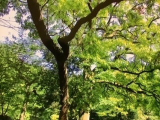 image4 (3).jpeg
