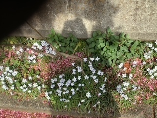 image4 (4).jpeg