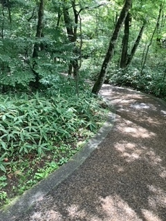 image5.jpeg