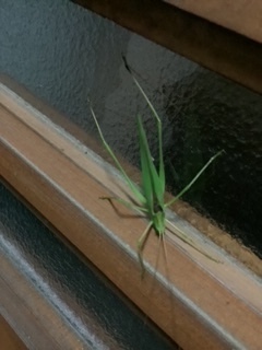 image5.jpeg
