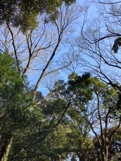 image5.jpeg