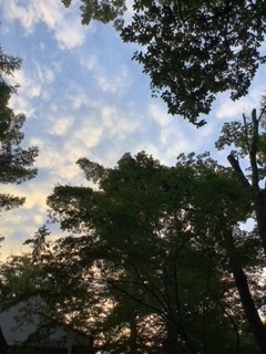 image5.jpeg
