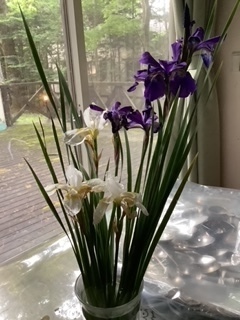 image5.jpeg