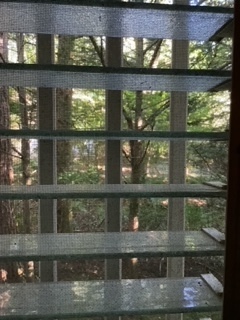 image6.jpeg