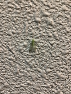 image6.jpeg