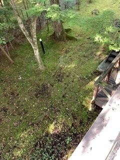 image7.jpeg